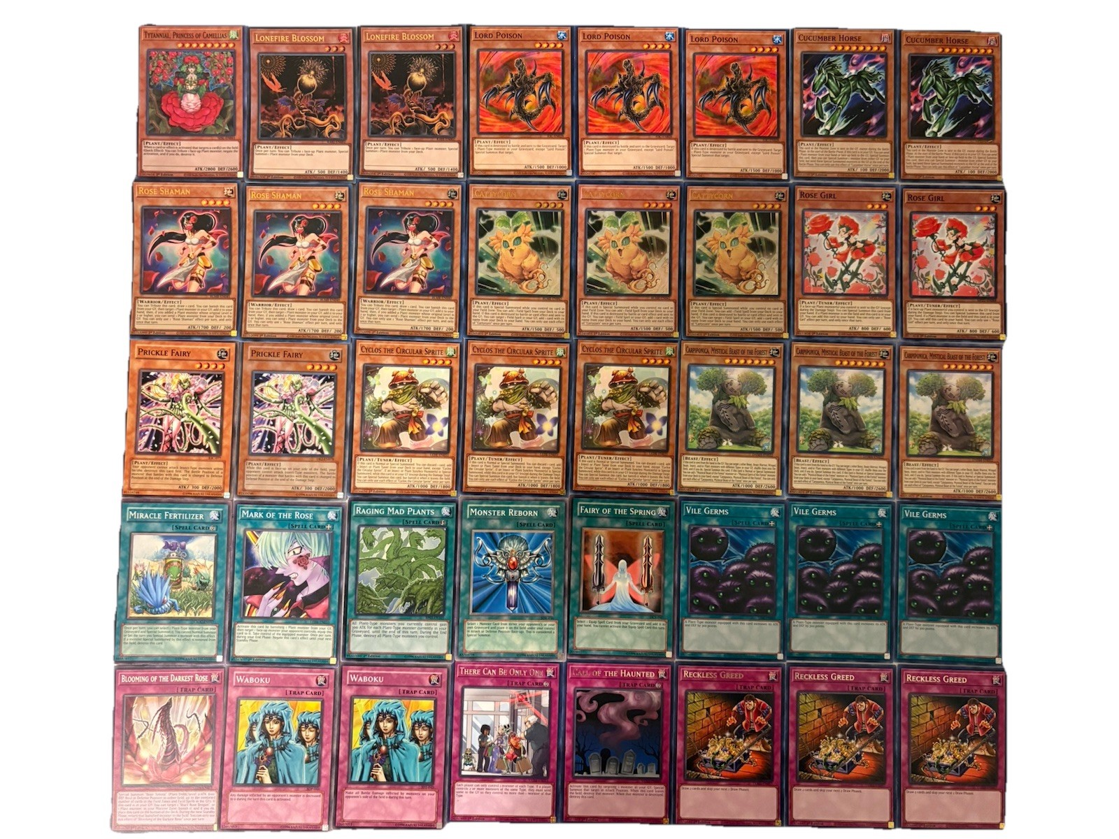 YUGIOH Plant Deck Complete 40 Cards
