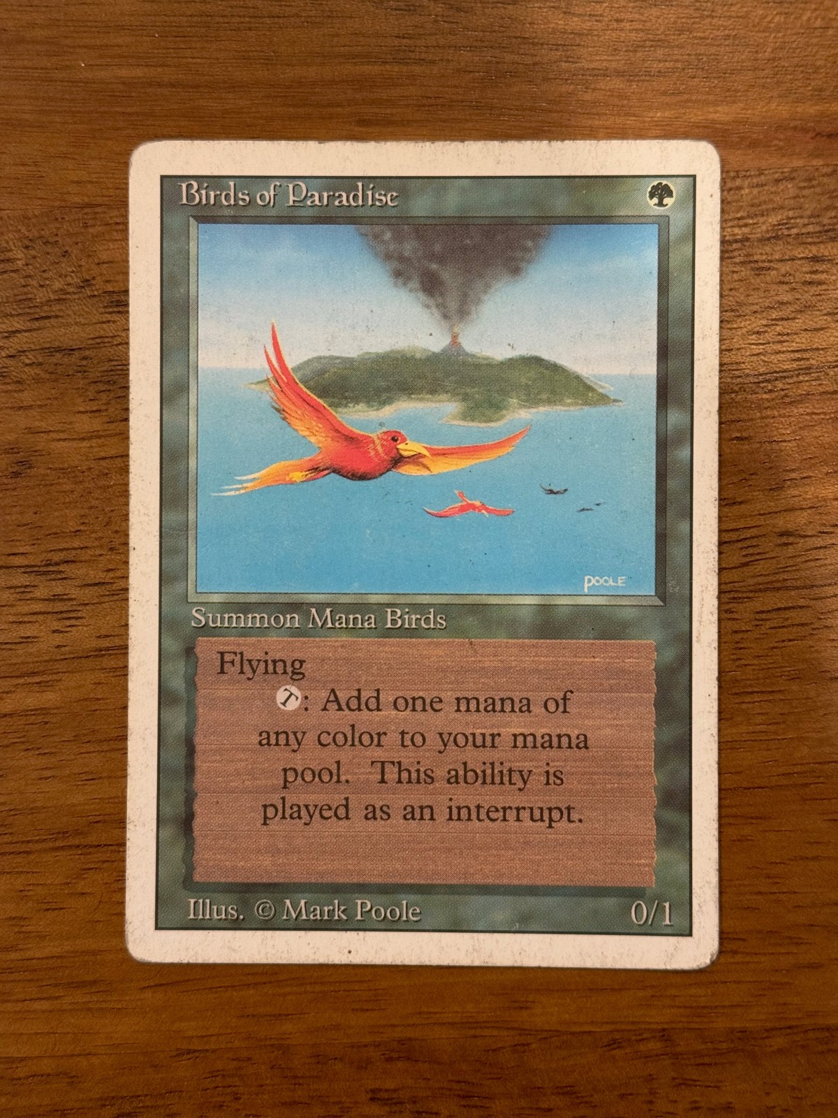 Birds of Paradise (3ED) 187 MP