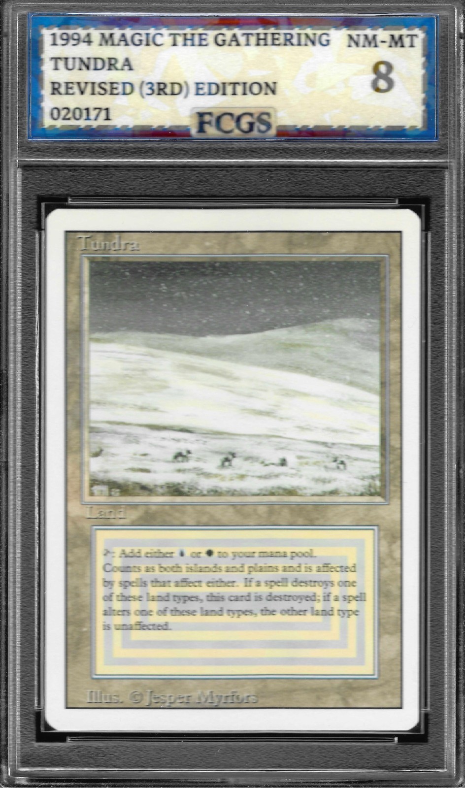 1994 MTG Revised Tundra Graded FCGS 8 NM-MT A208