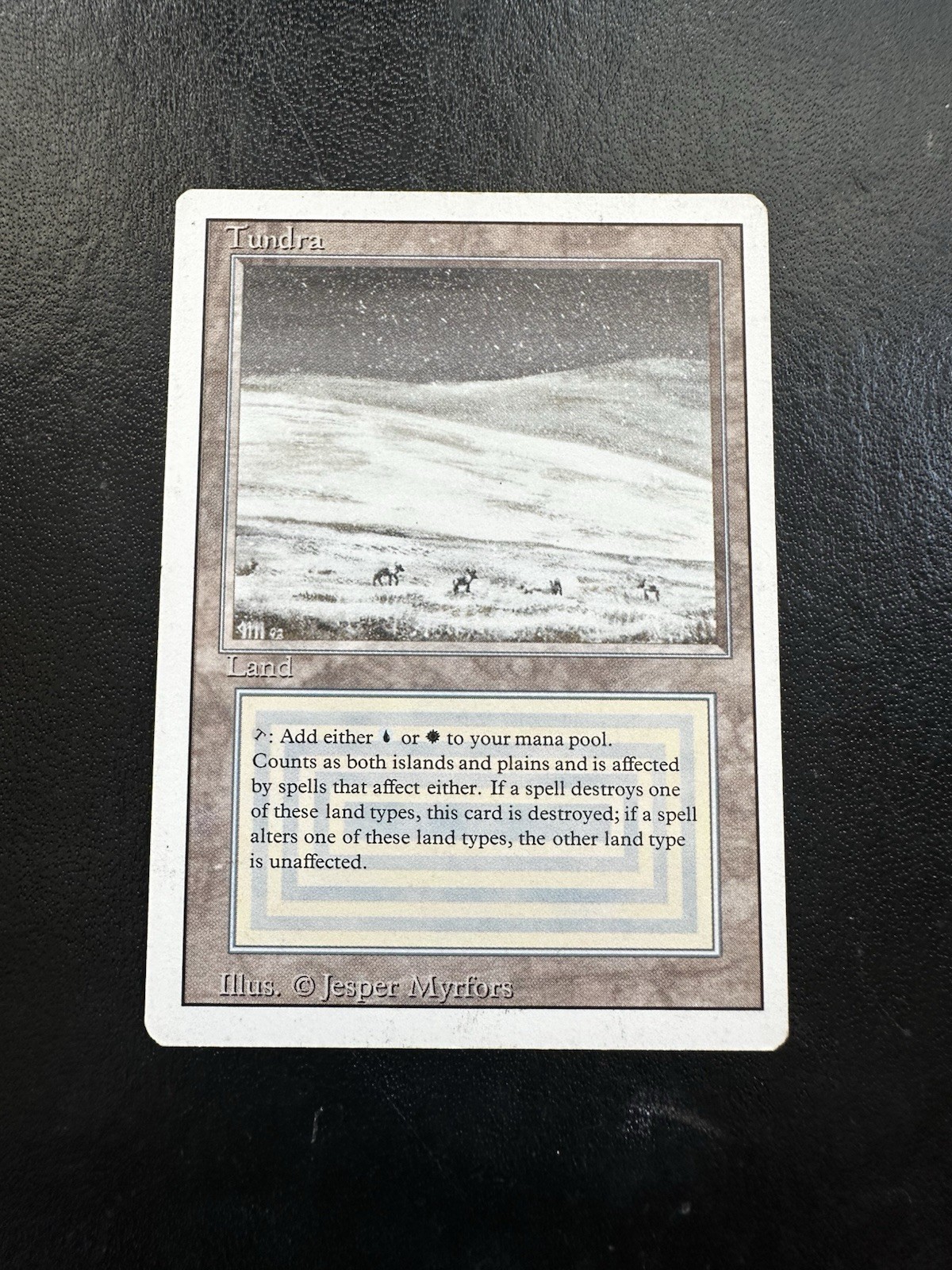 Tundra MTG Revised Edition Rare Land Card Regular Finish English Jesper Myrfors
