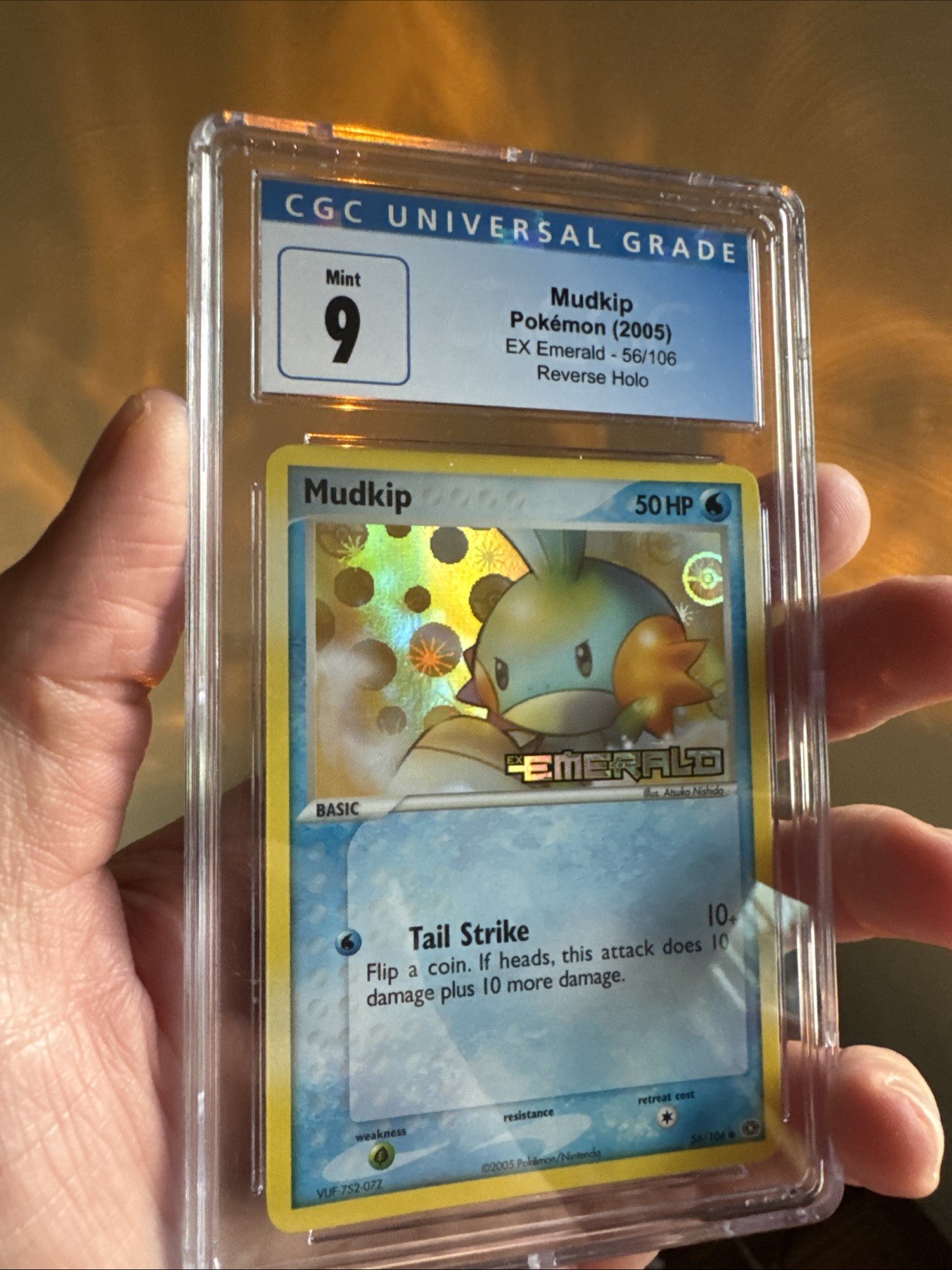 Mudkip 56/106 Emerald Reverse Holo