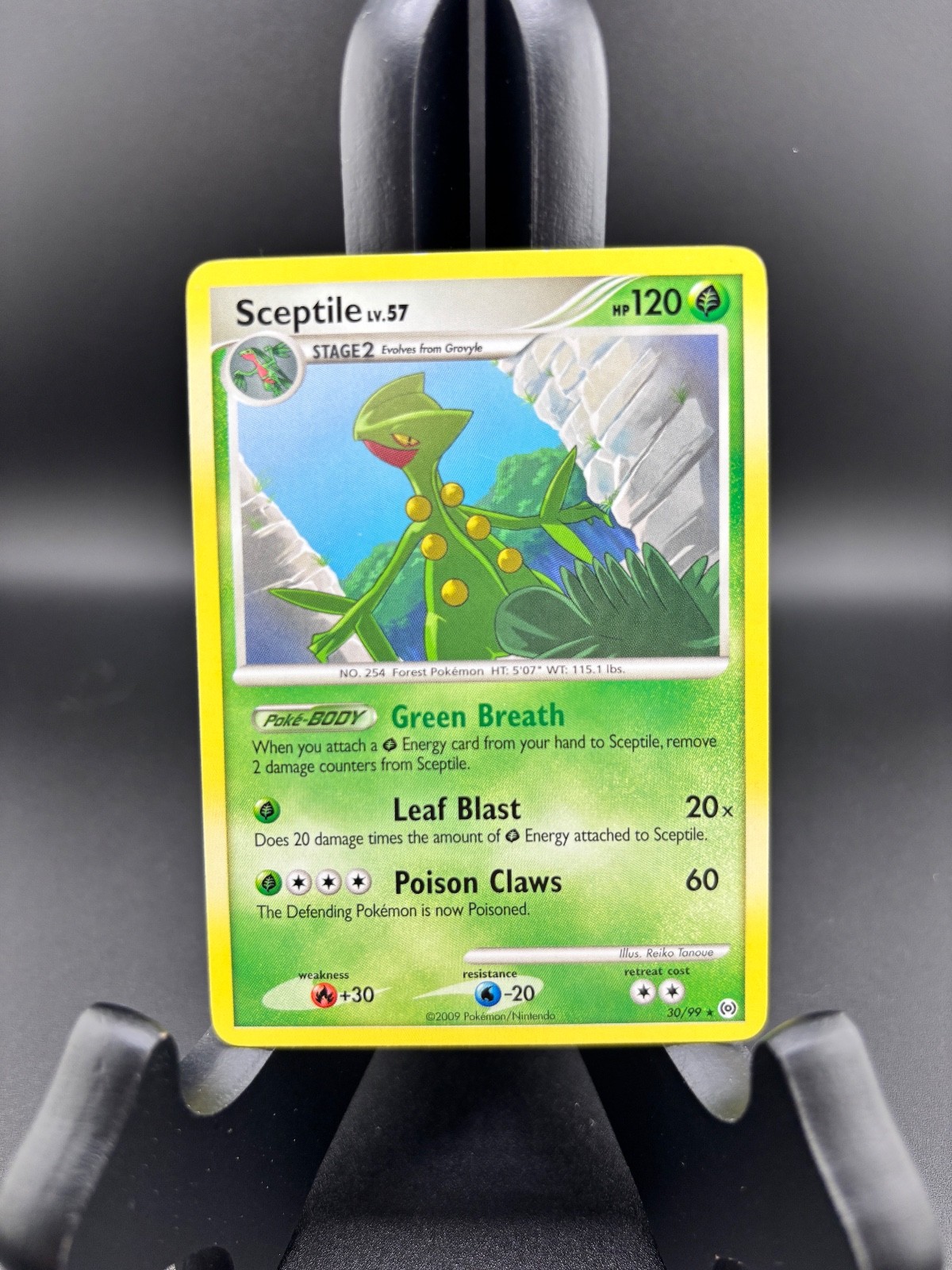 Sceptile – 30/99 Arceus – Pokemon TCG