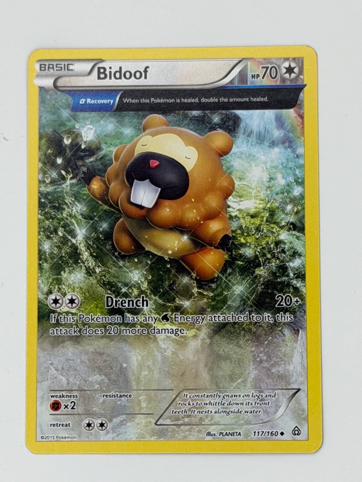 Bidoof #117 Pokemon XY:Pokemon Primal Clash