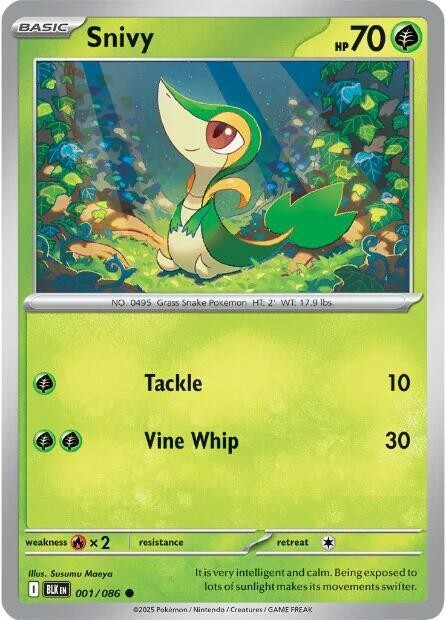 Pokémon TCG Black Bolt Choose Your Card Singles | NM Bulk Discount
