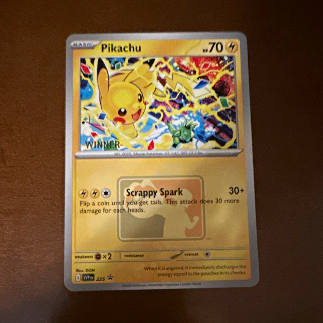 Pikachu 225 SV Scarlet & Violet Promo World Championship 2025 Winner Holo