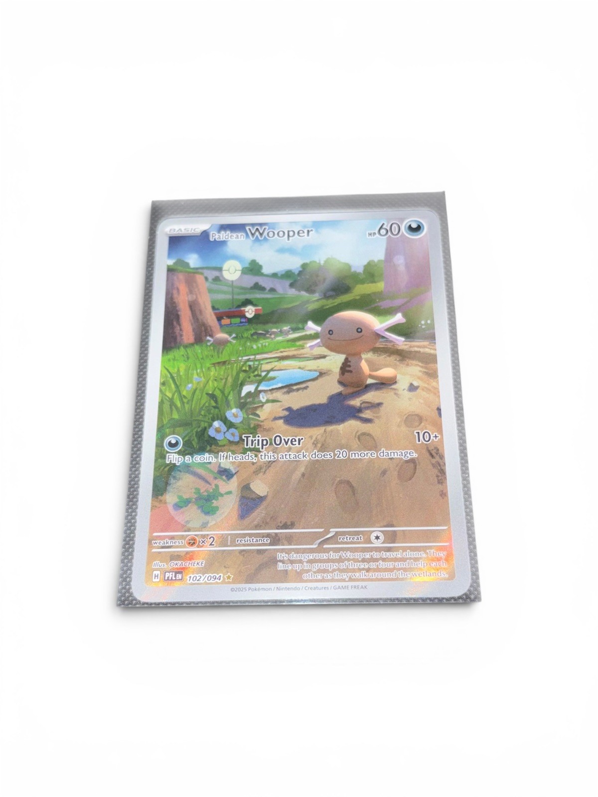 Paldean Wooper 102/094 Illustration Rare Phantasmal Flames Pokemon Holo NM