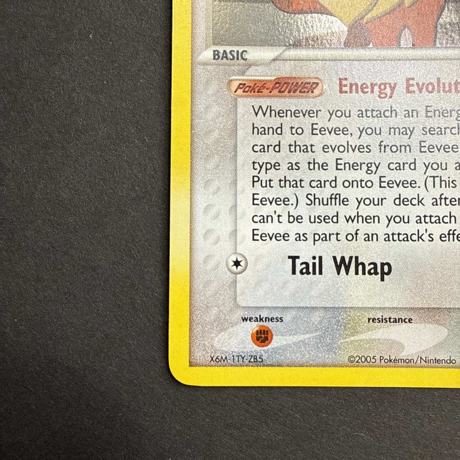 Eevee 55/115 Reverse Holo EX Unseen Forces STAMPED 2005 Pokemon TCG NM