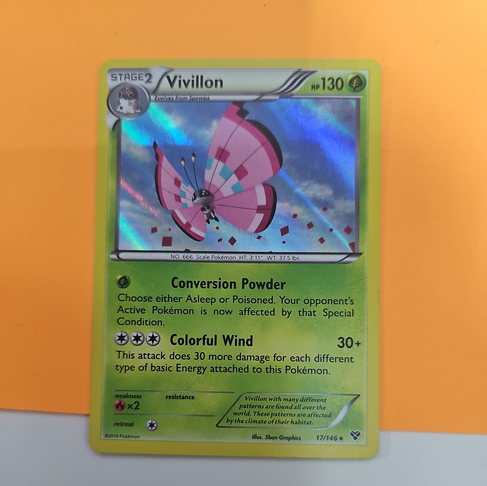 Vivillon 17/146 Holo Rare XY Pokemon NM
