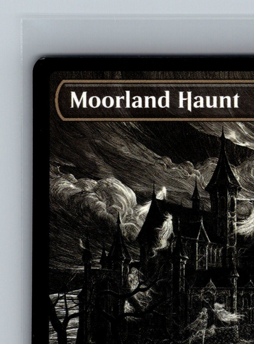 Moorland Haunt 349 Magic the Gathering MTG Secret Lair Daria Khlebnikova Art CCG