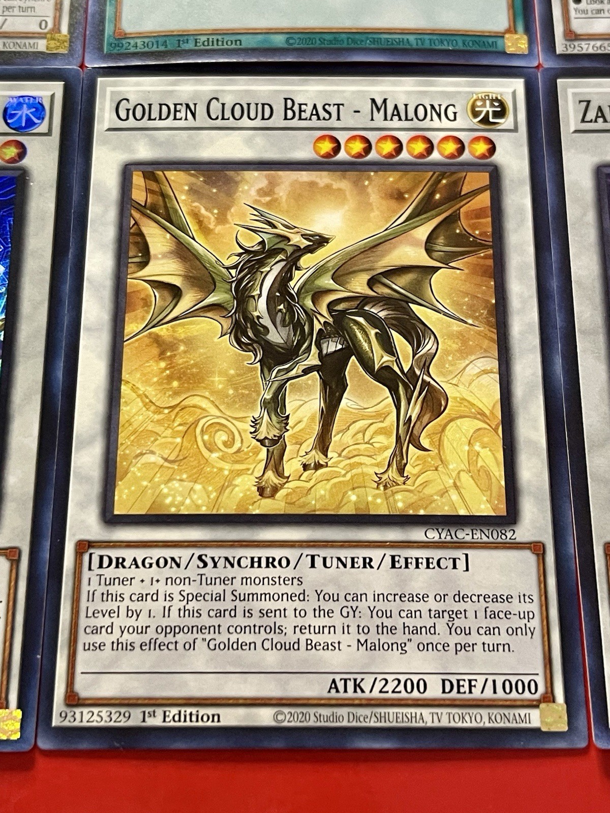 Enigmaster Packbit + Malong + Zalen Shackled Dragon + Kewl Tune & More | YuGiOh!