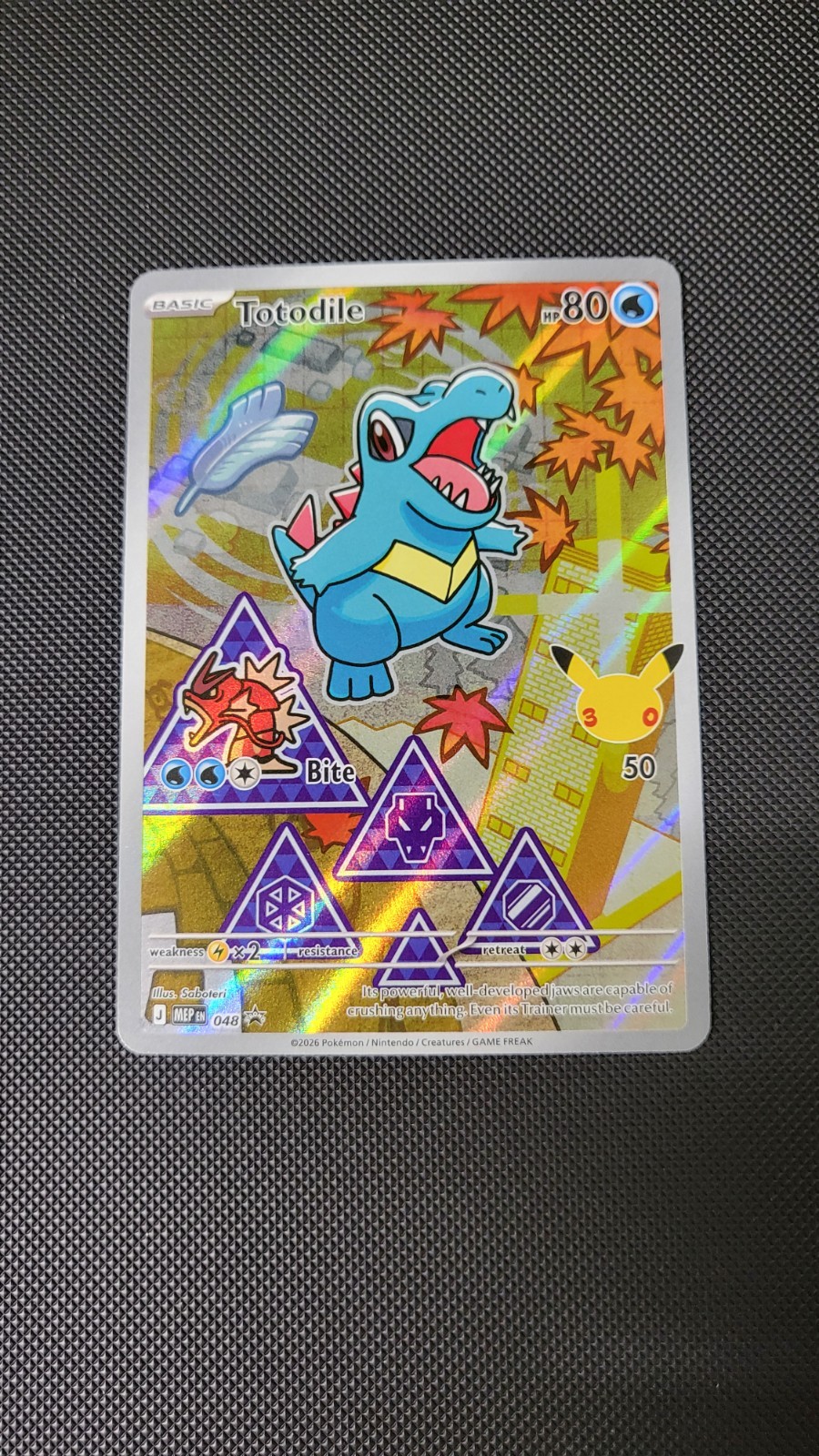 Pokemon First Partner Series 2 – Johto Starter Set