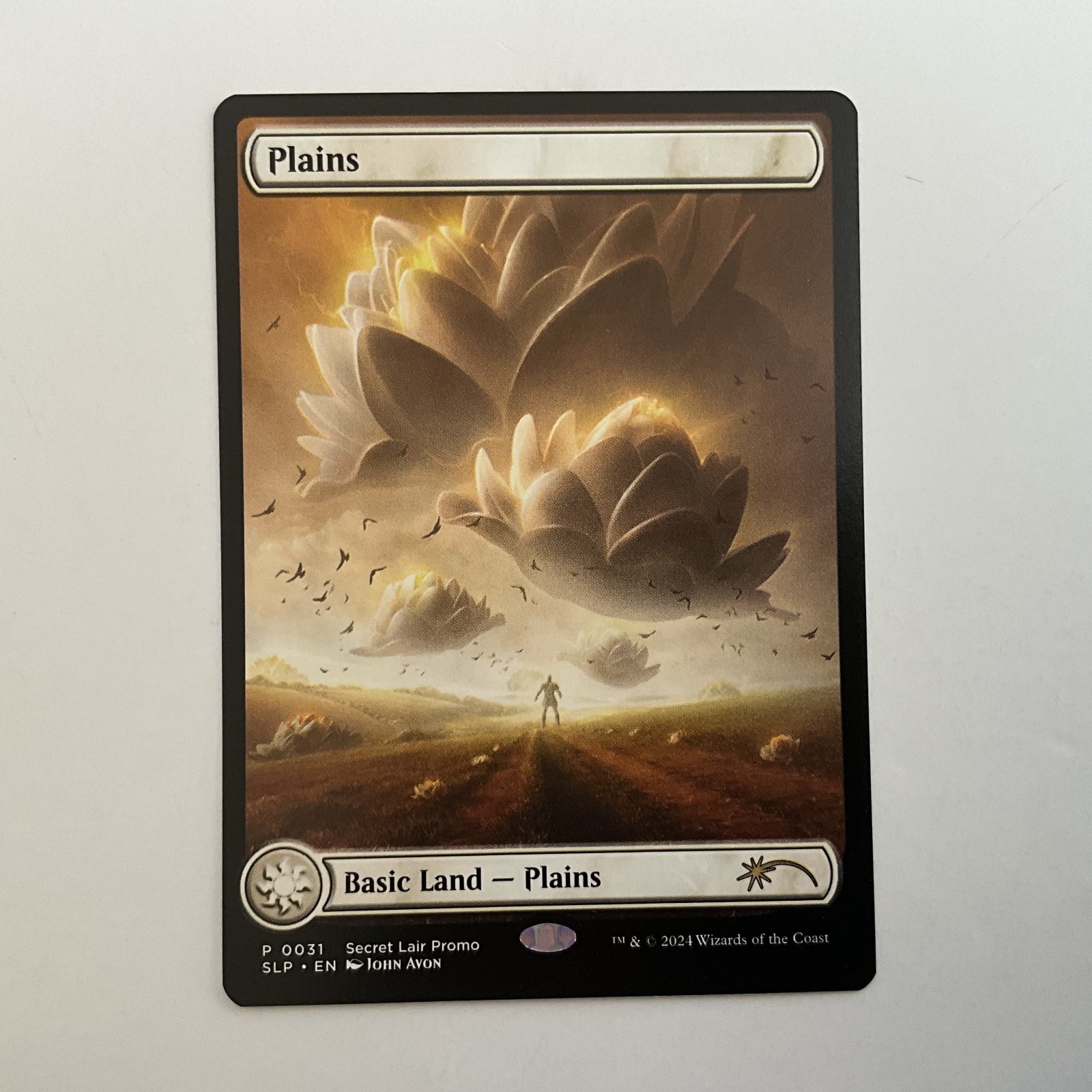 MTG Plains (0031) *Non-Foil* MagicCon Secret Lair Lotus Land MT/NM John Avon