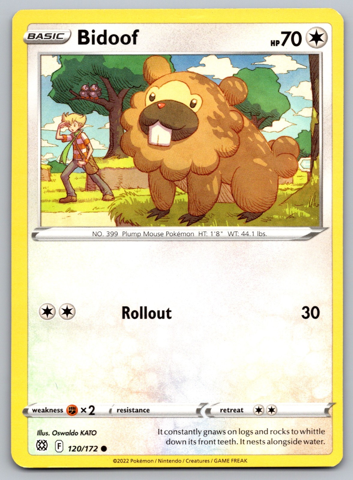 Bidoof & Starly~ Cute Pokemon Cards ~ Cameos & Hidden Pokemon Gallery
