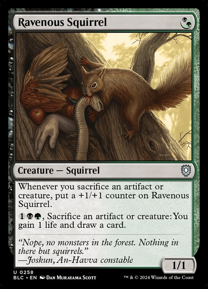Ravenous Squirrel 0258 Non Foil Uncommon Bloomburrow Commander MTG Near Mint