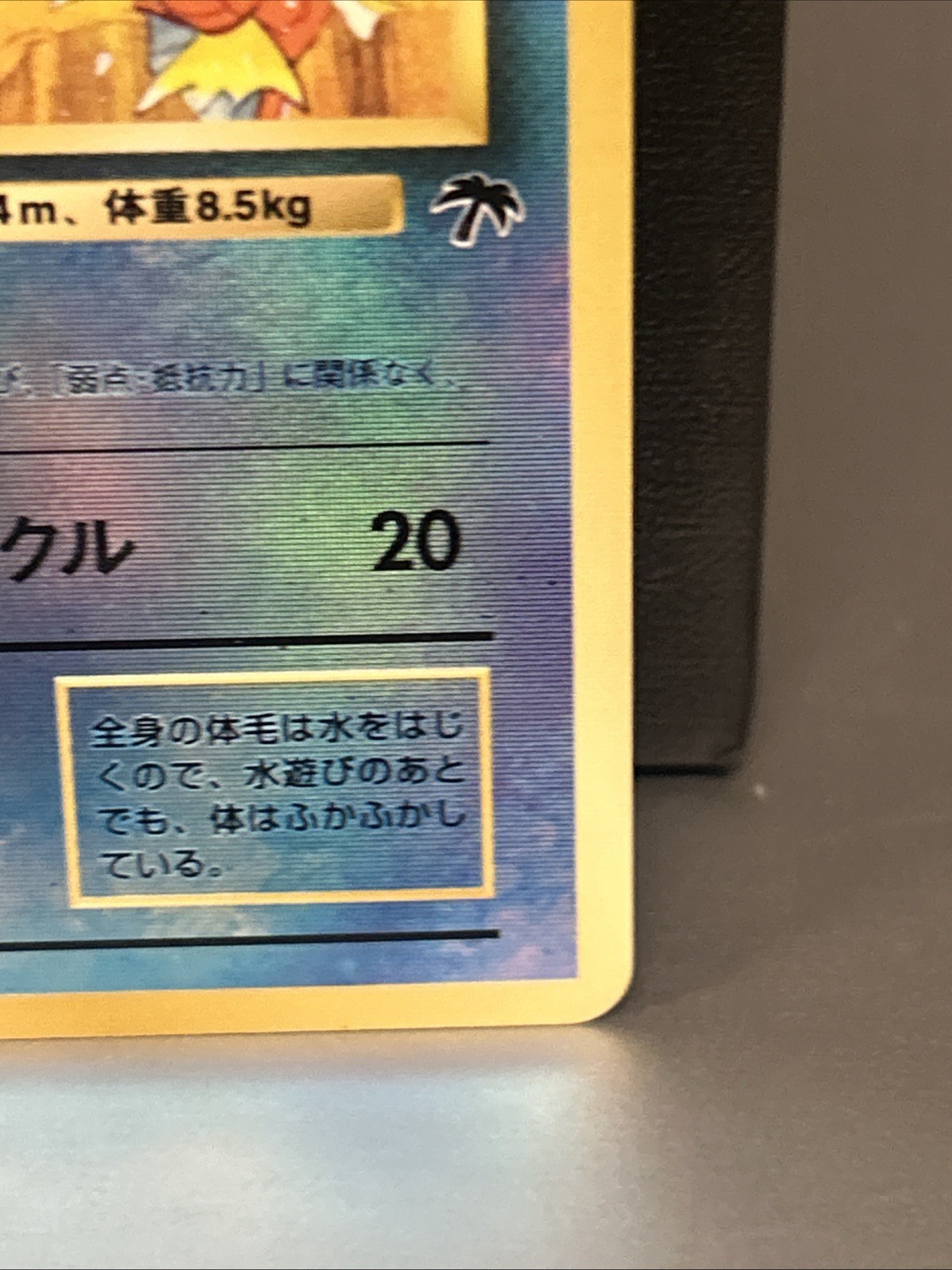 Pokemon TCG Southern Islands Marill (Japanese) Authentic, Officialrev Holo🌴