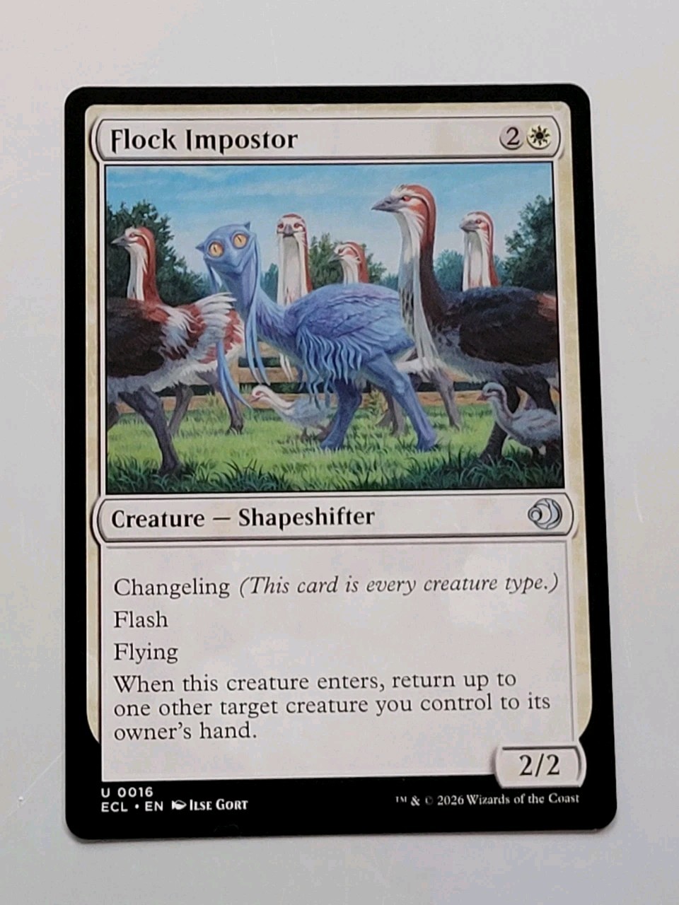 MTG – Lorwyn Eclipsed: Flock Impostor (0016) – Uncommon – Near Mint