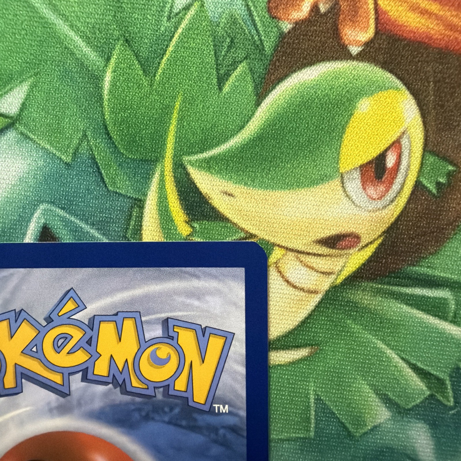 Pokemon Ditto VMAX 051/072 – Shining Fates – NM
