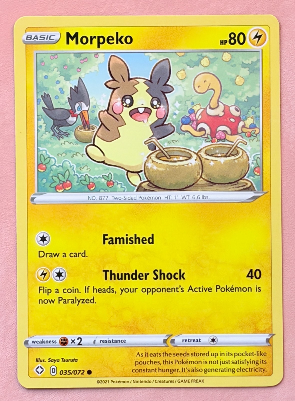 Morpeko & Shuckle~Cute Pokémon Cards ~ Cameo/Hidden Pokemon in Card Collection
