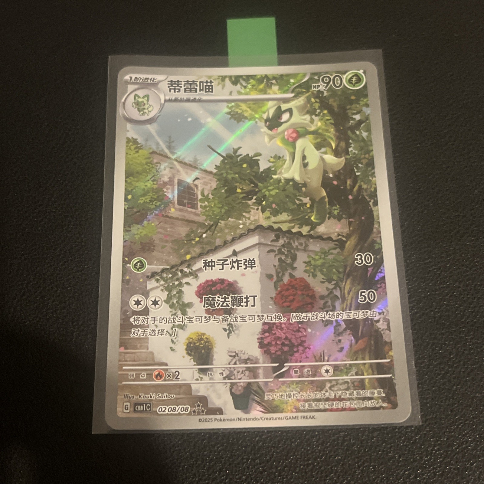 Floragato Art Rare 0208/08 Pokemon Gem Vol 1 Chinese CBB1C 02 08/08 AR