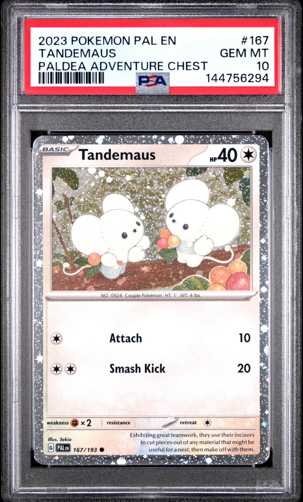 PSA 10 GEM MINT Tandemaus 167/193 Scarlet Violet Paldea Adventure Chest Cosmos