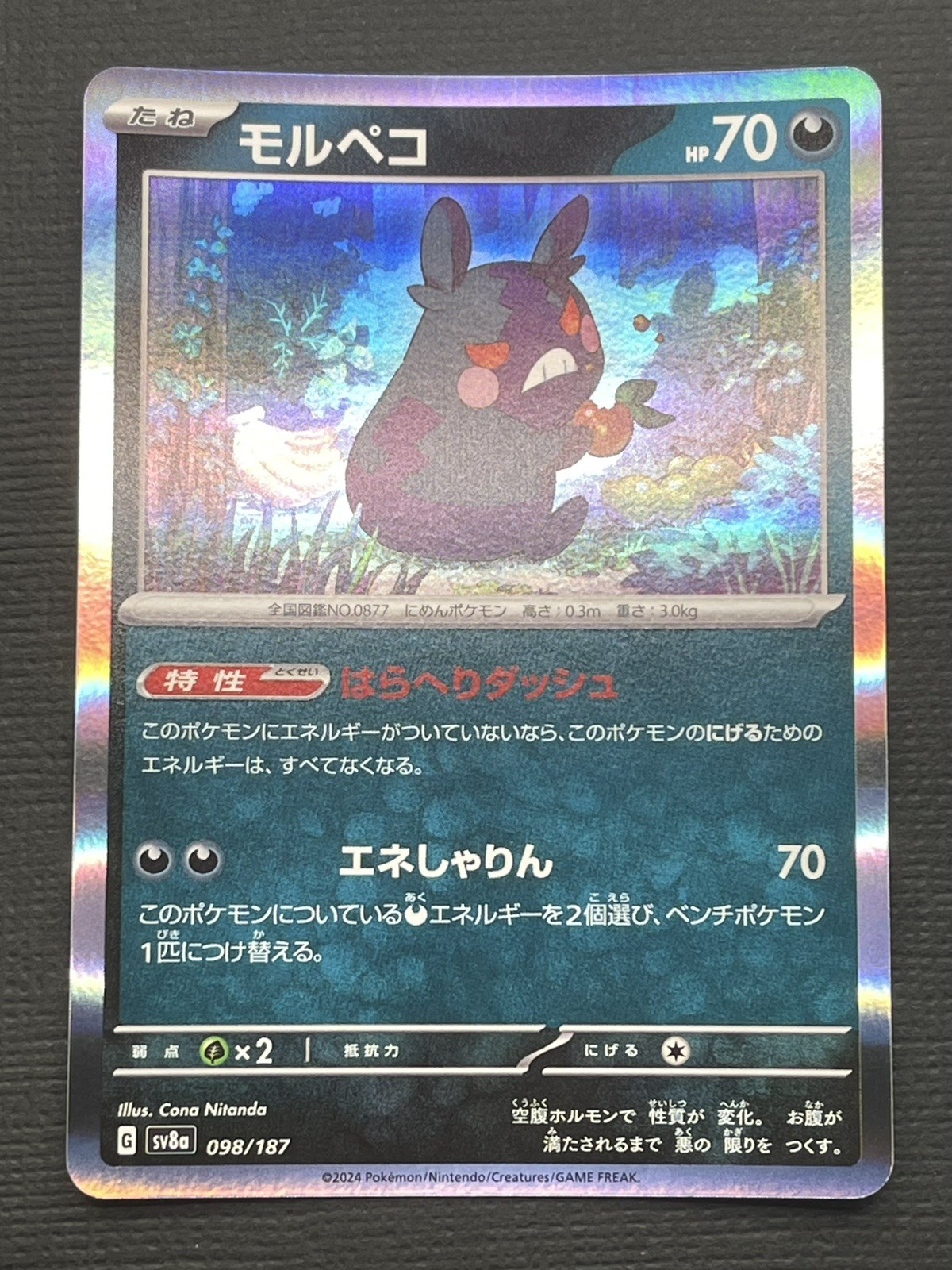 Morpeko Common SV8a: Terastal Fest ex 098/187 Pokemon Card Holo Near Mint NM