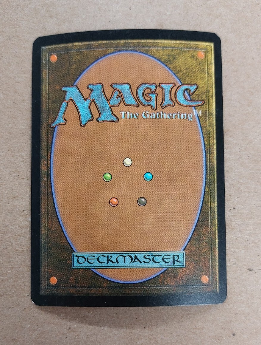 UNPLAYED SIGNED FOIL Barkshell Blessing Shadowmoor NM STEVEN BELLEDIN EDH CUBE