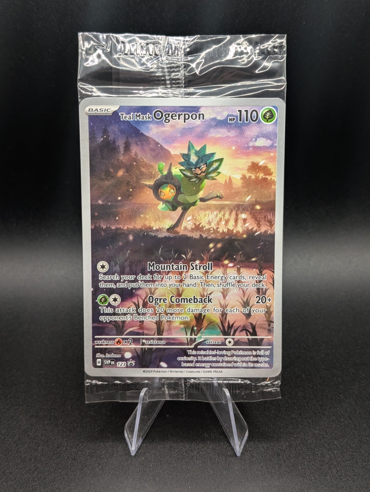 Teal Mask Ogerpon SVP 123 SEALED PROMO Holo Full Art Pokemon Card