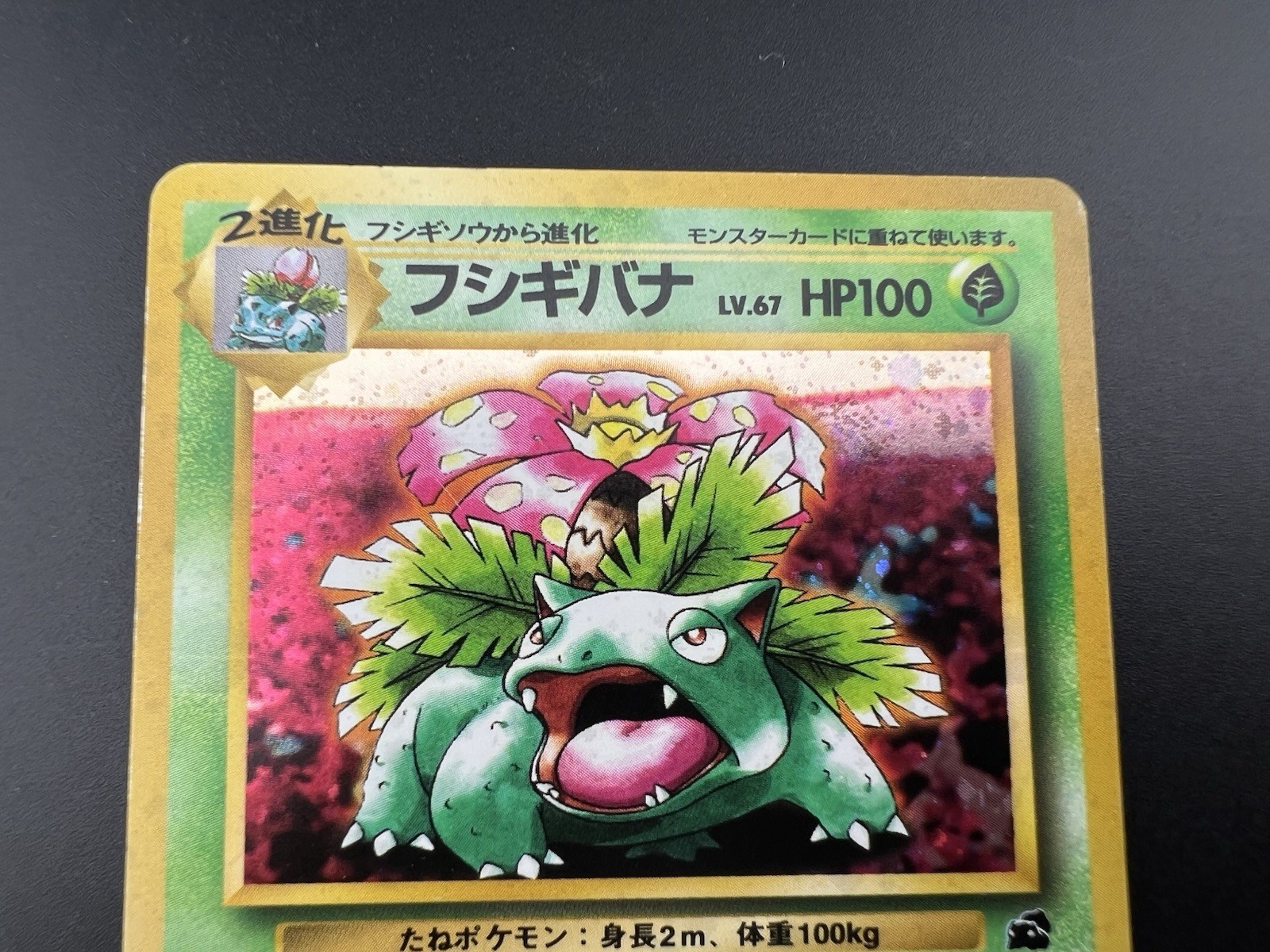 Venusaur＆ Blastoise Intro Pack Squirtle Deck Holo MP Japanese Pokemon Card #3