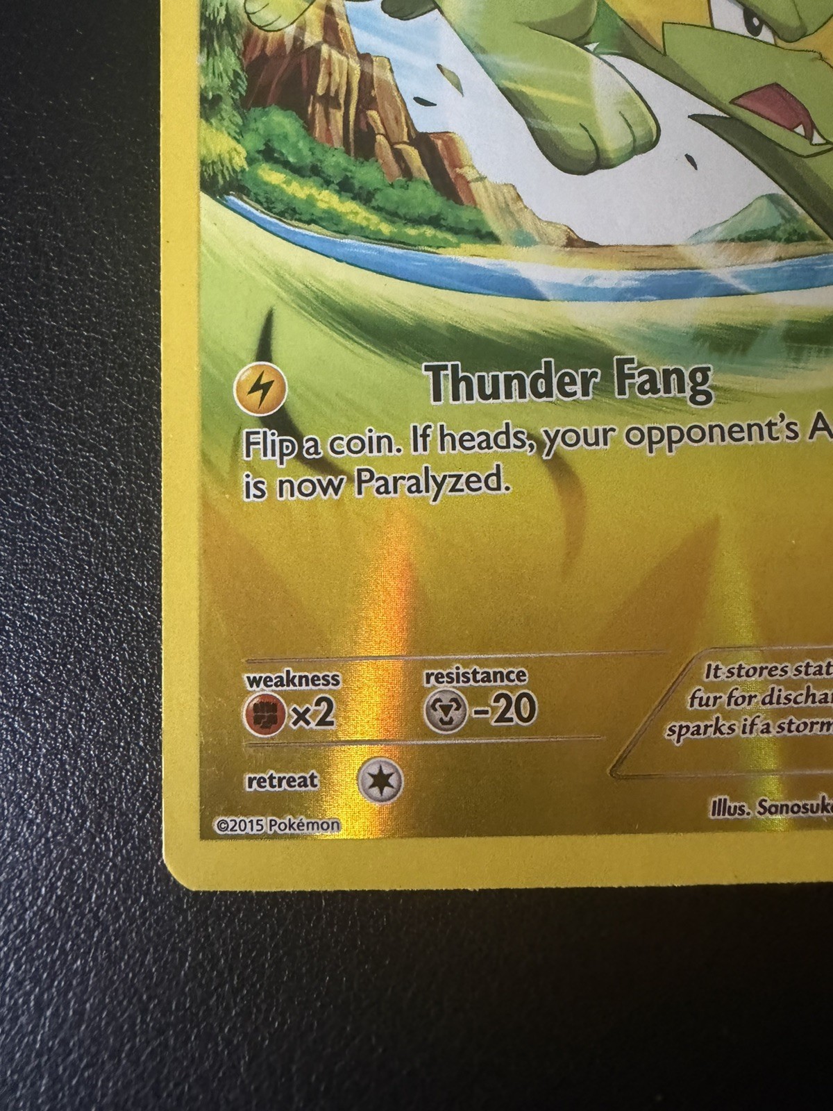 Electrike 60/160 Uncommon Primal Clash Pokemon Reverse Holo NM-LP