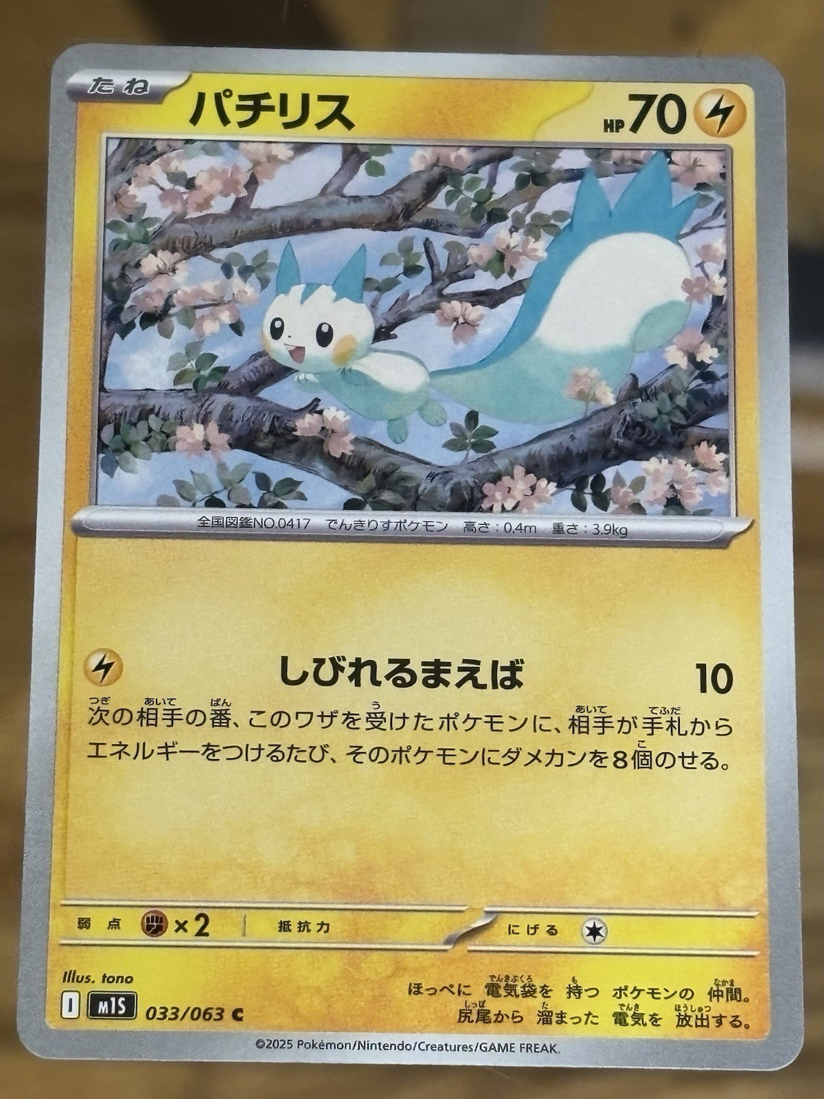 Pachirisu 033/063 Mega Symphonia Pokemon Card Japanese