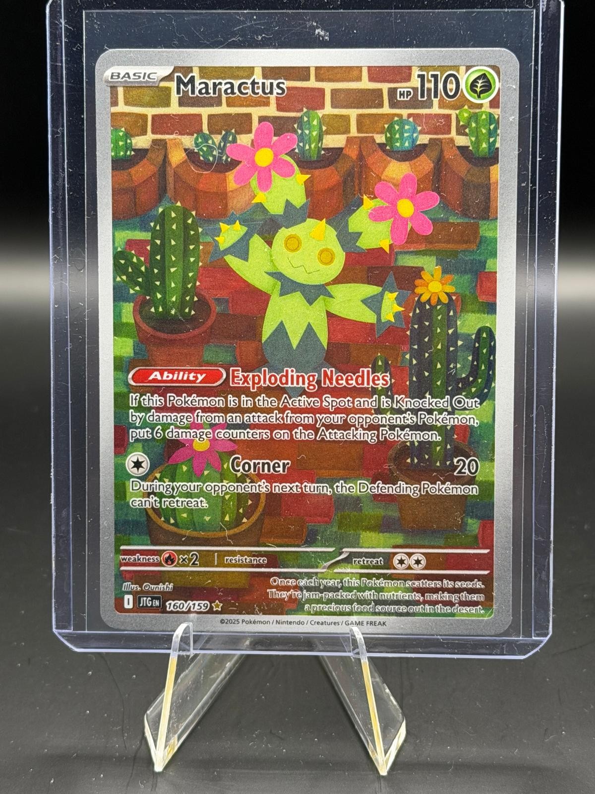 Maractus 160/159 Illustration Rare Journey Together Pokemon Holo Near Mint
