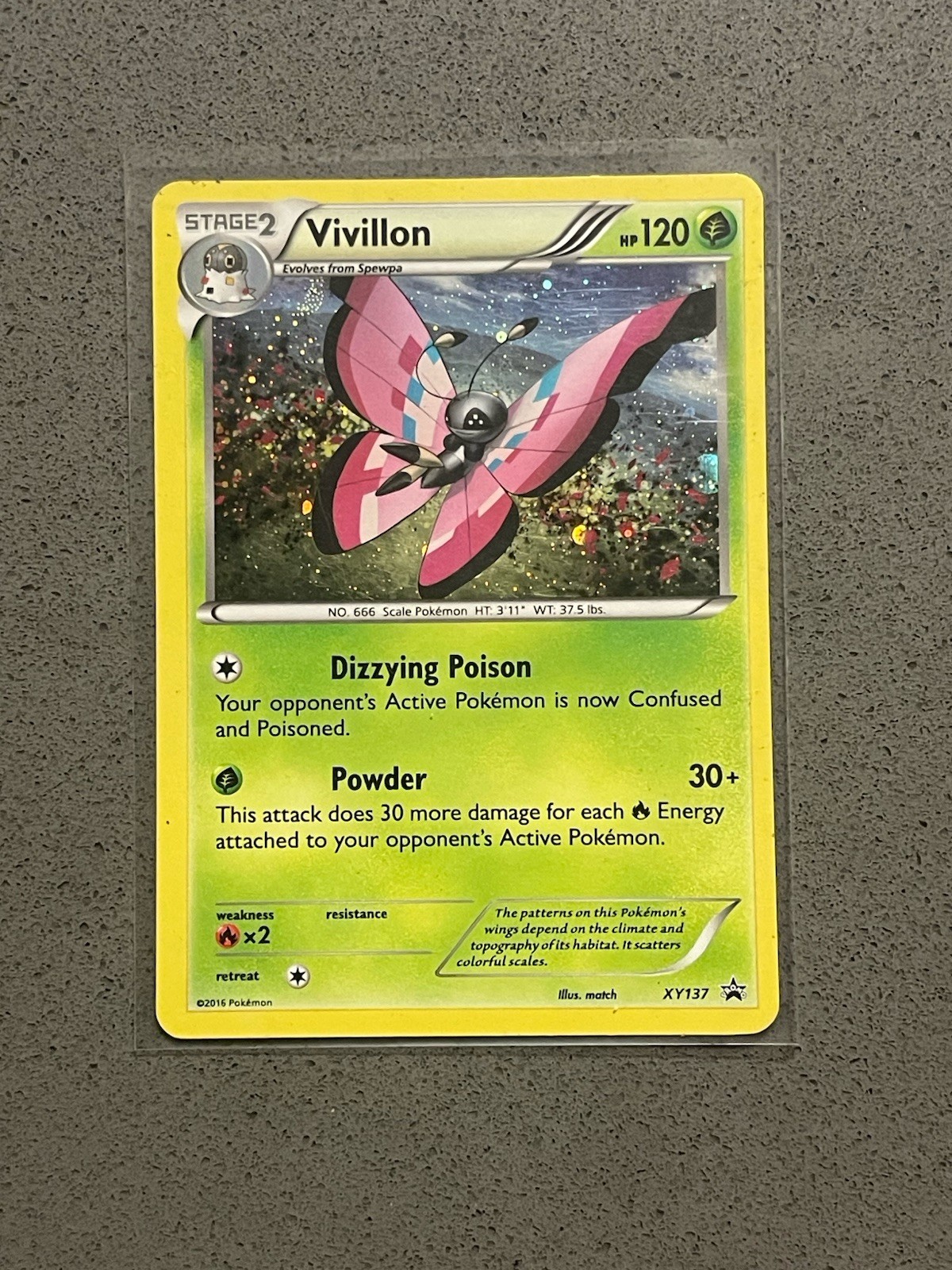 Pokémon TCG Vivillon XY XY137 Holo