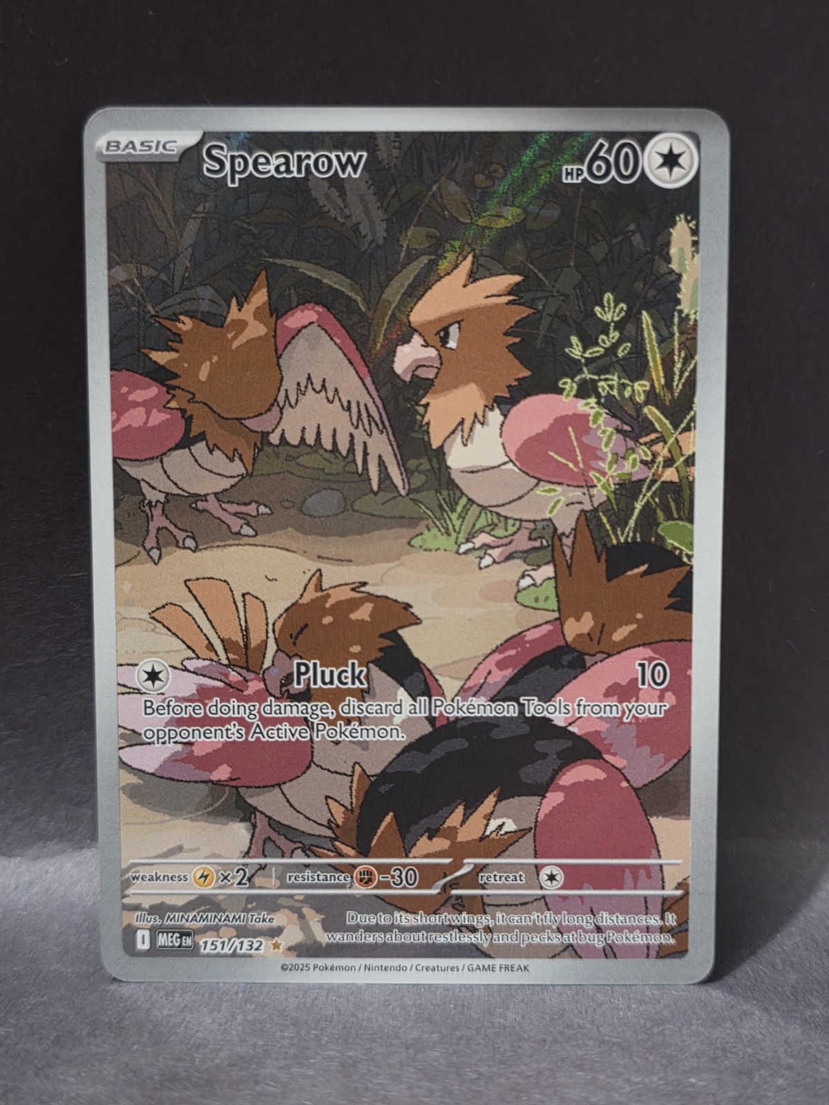 Spearow – MEG 151/132 – Mega Evolutions – Illustration Rare (IR) – Pokemon