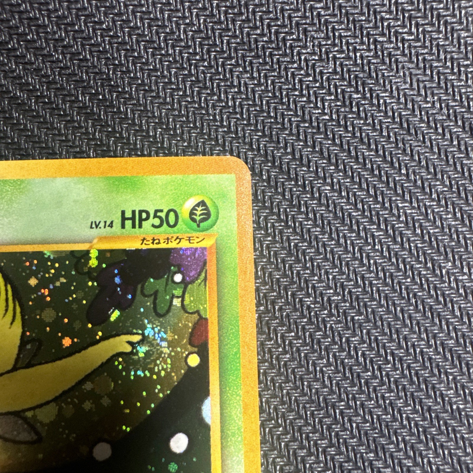 Pokémon Japanese Celebi Neo Destiny No. 251