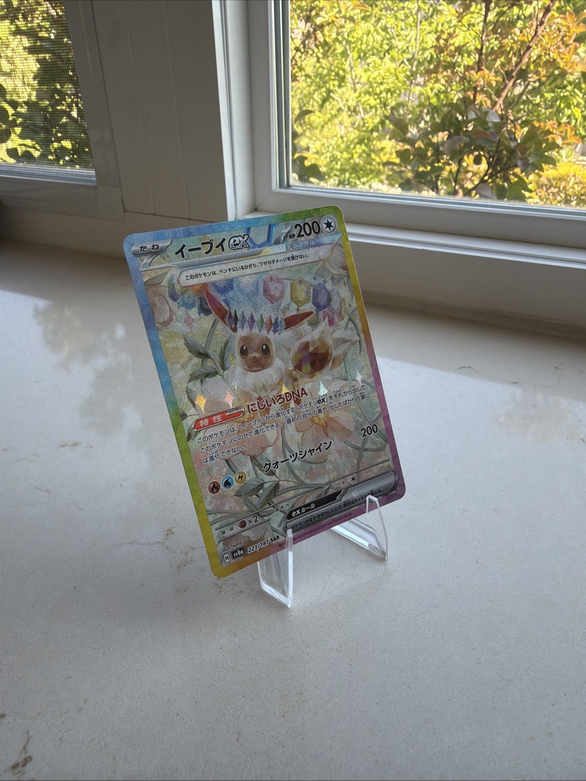 Eevee ex 223/187 Sv8a: Terastal Fest Ex Holo (Japanese)