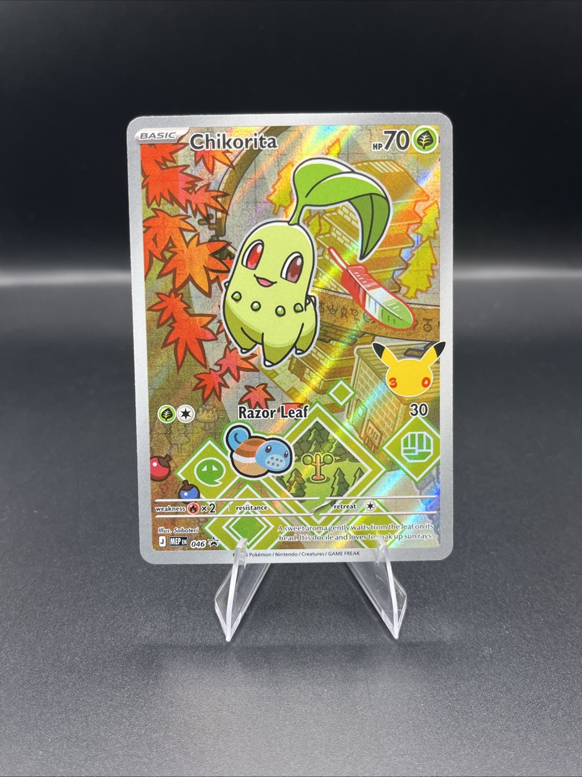 Chikorita – 046 – First Partner Series 2