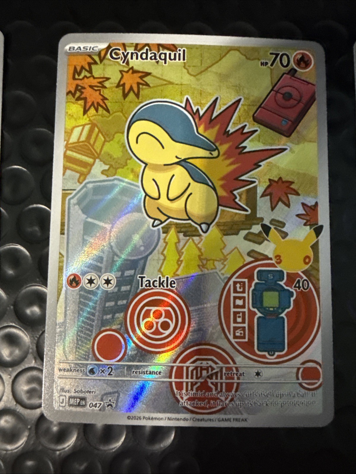 Pokémon TCG First Partner Illustration Collection Series 2 Johto Starters Set