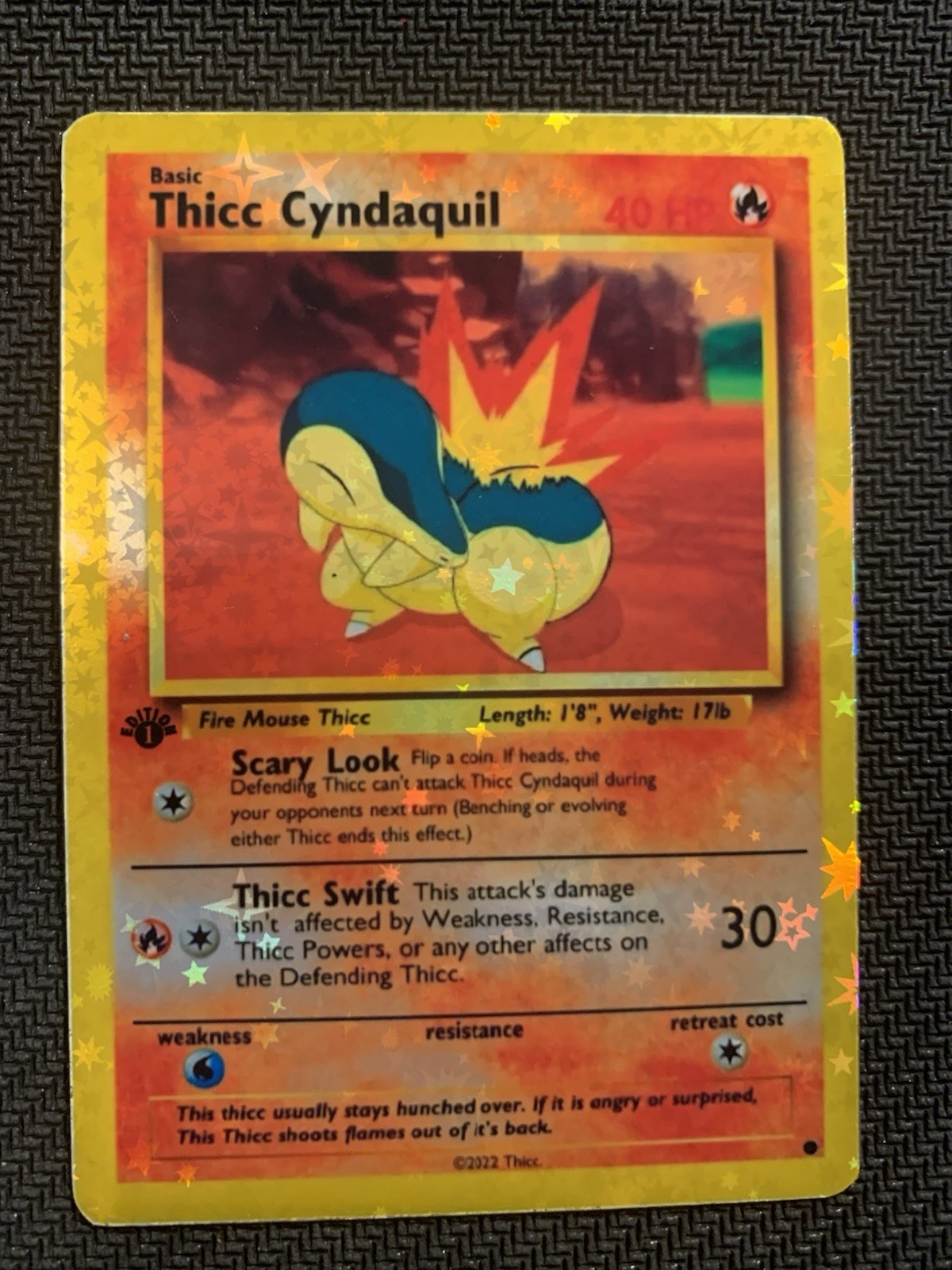 Thicc Cyndaquil (Alternative Custom Art) Holografic Card