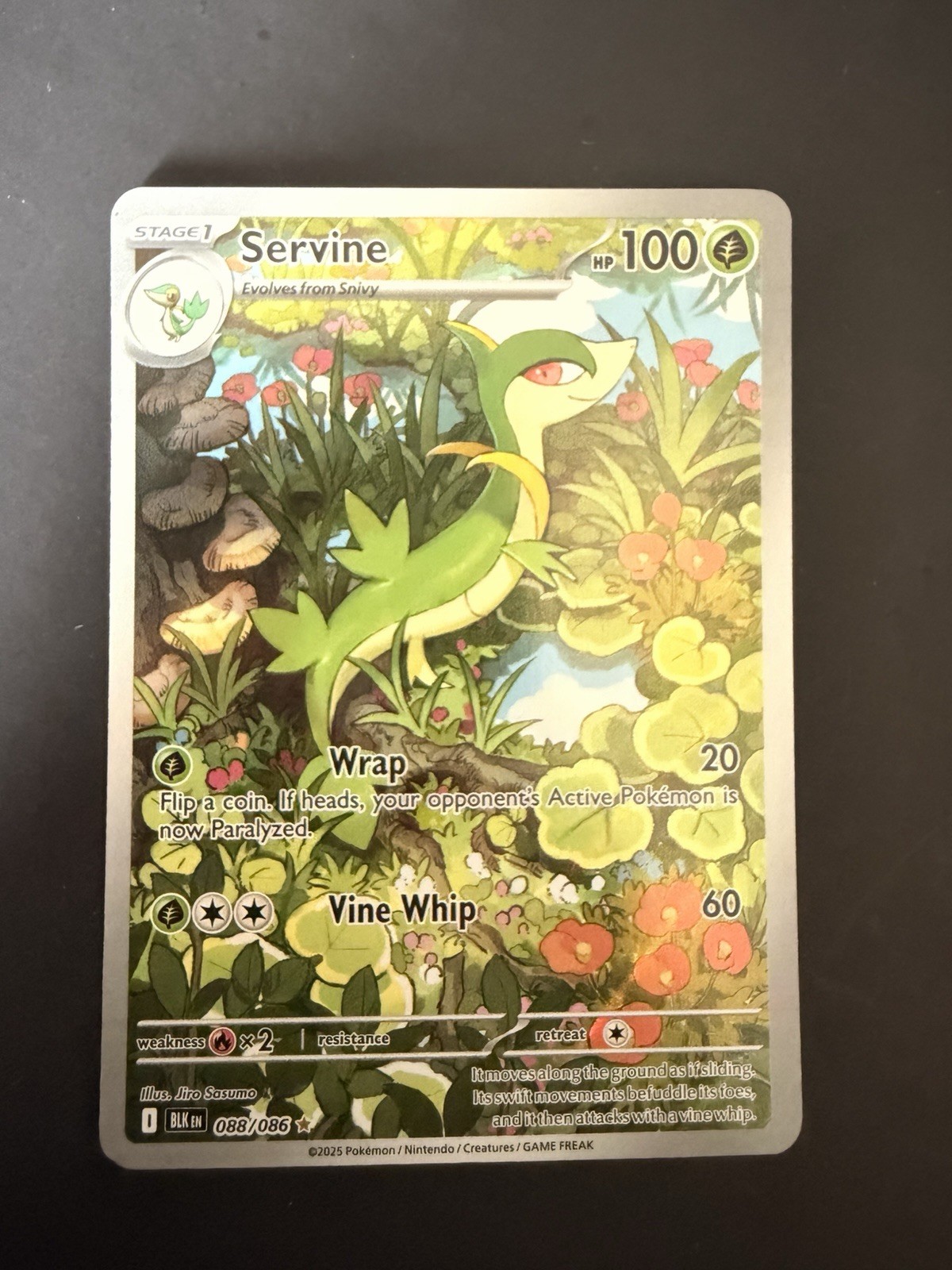 Servine 088/086 Illustration Rare IR Black Bolt Pokemon SV11B Near Mint