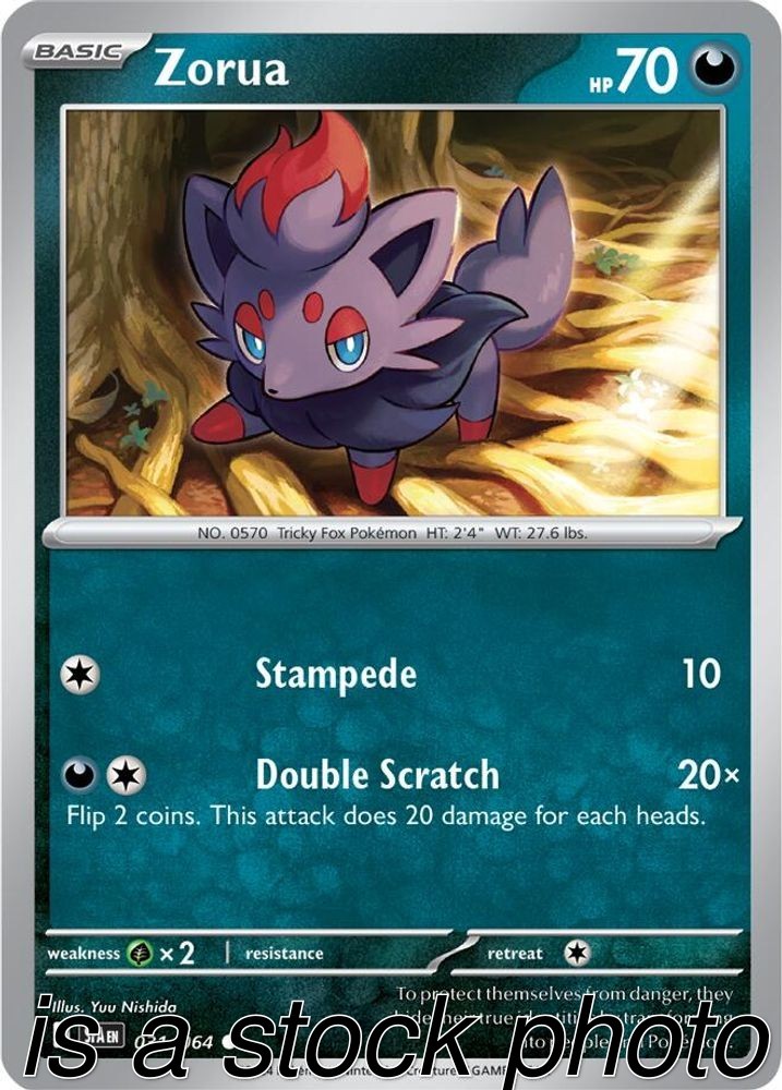 Zorua 031/064 SV: Shrouded Fable Reverse Holofoil Pokemon (LP-NM)