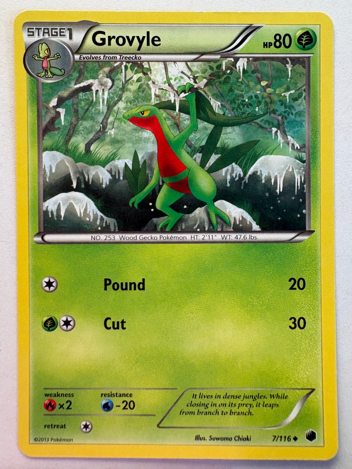 Grovyle 7/116 Plasma Freeze Pokemon Card