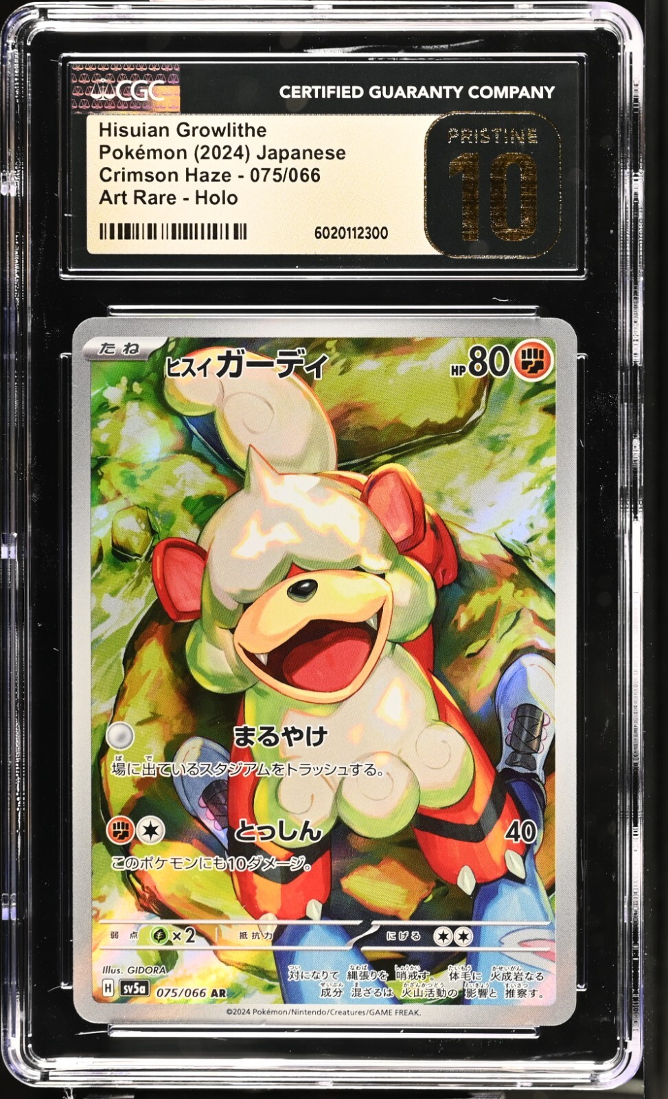 CGC 10 PRISTINE Hisuian Growlithe 075/066 AR Art Rare Crimson Haze sv5a Pokemon