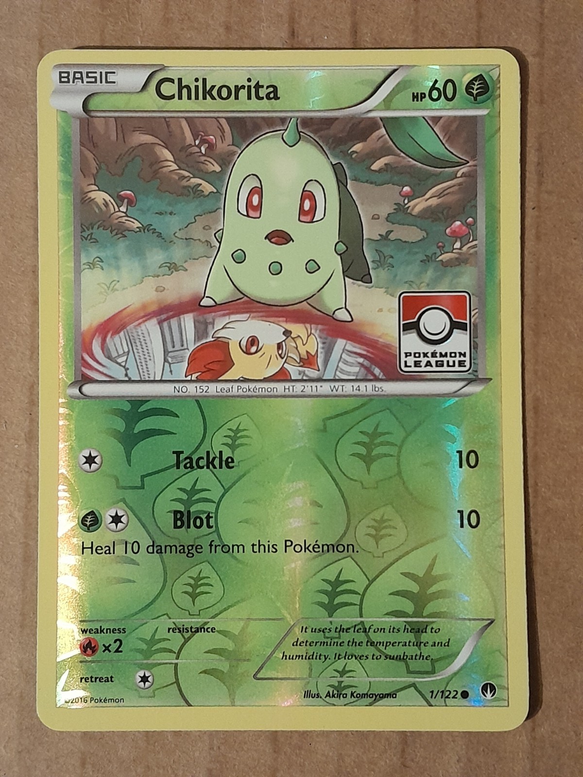 Pokemon Chikorita 1/122 League Reverse Holo Promo LP See Pictures