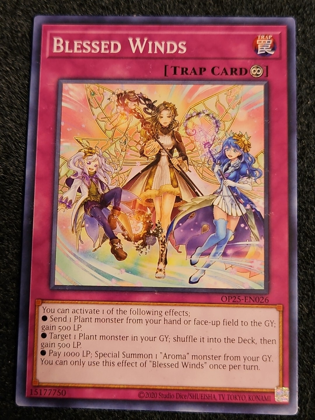 Yu-Gi-Oh! Blessed Winds OP25-EN026 Unlimited Edition Common NM