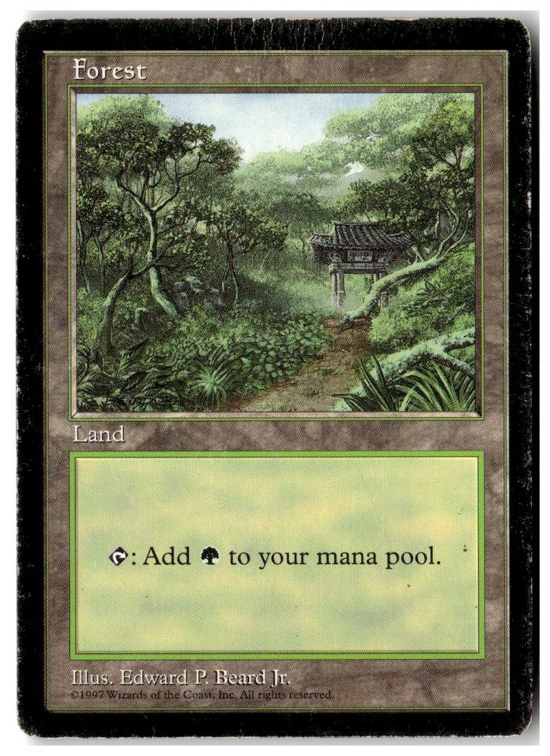MTG Forest – Clear Pack (Beard, Jr.) – APAC Lands Heavily Played English