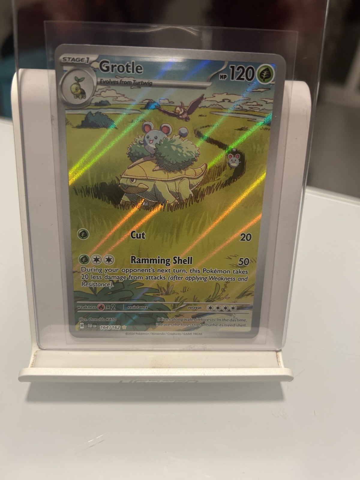 Grotle 164/162 SV05: Temporal Forces Holo