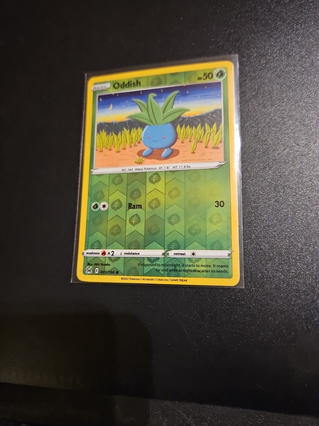 Pokémon TCG Oddish 2022 Card 001/196 Holo Nm M Np Rare