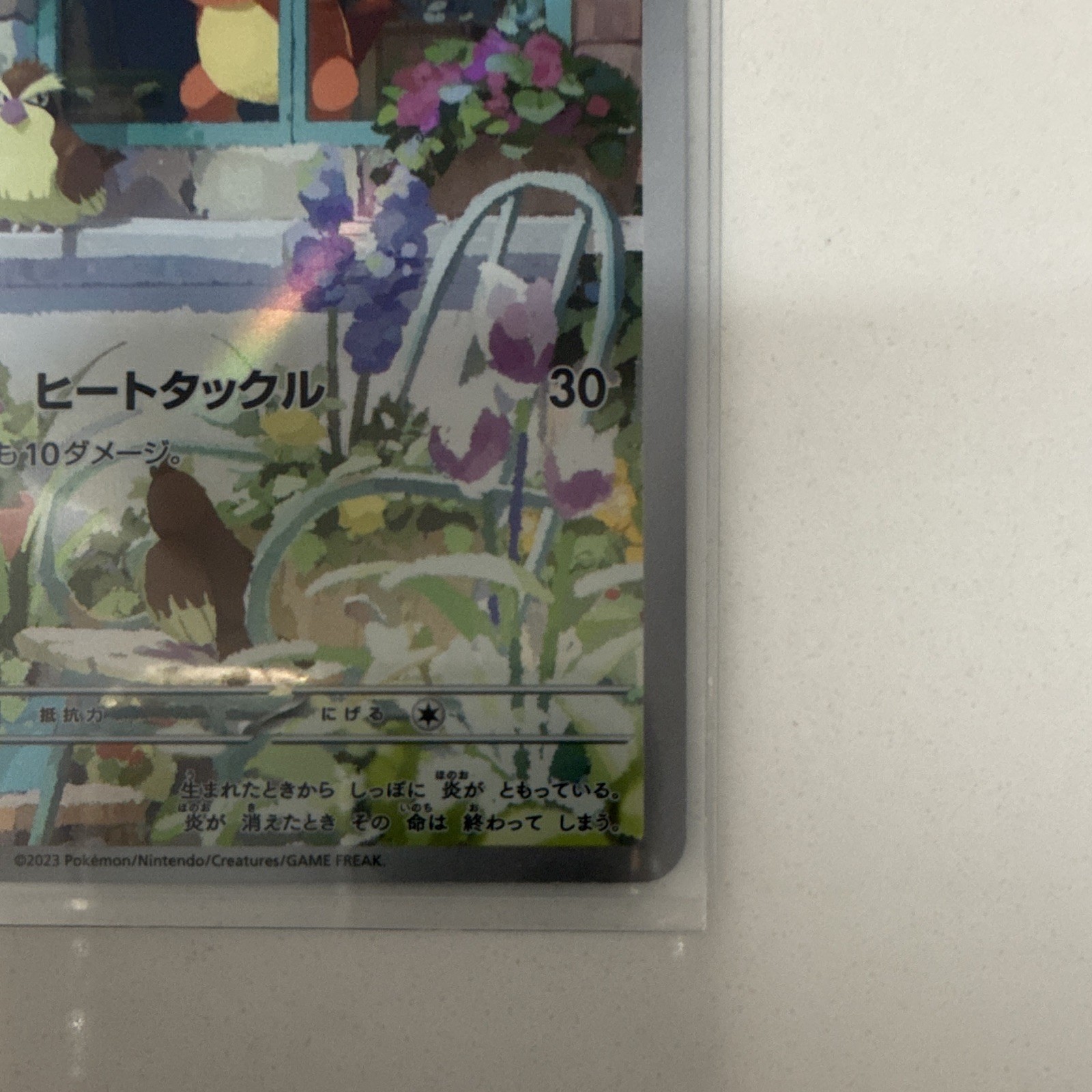 Pokemon Charmander AR Special Deck Set Card 051/049 SVG