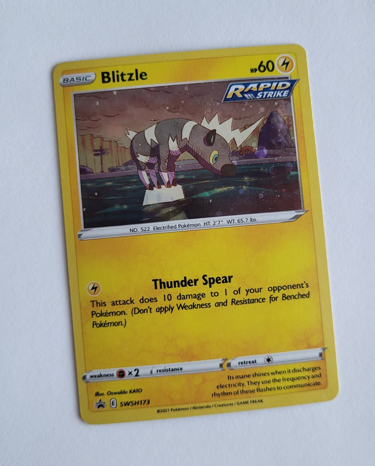 Pokemon Blitzle SWSH173 Holo Black Star Promo TCG 2021 Card English Unplayed