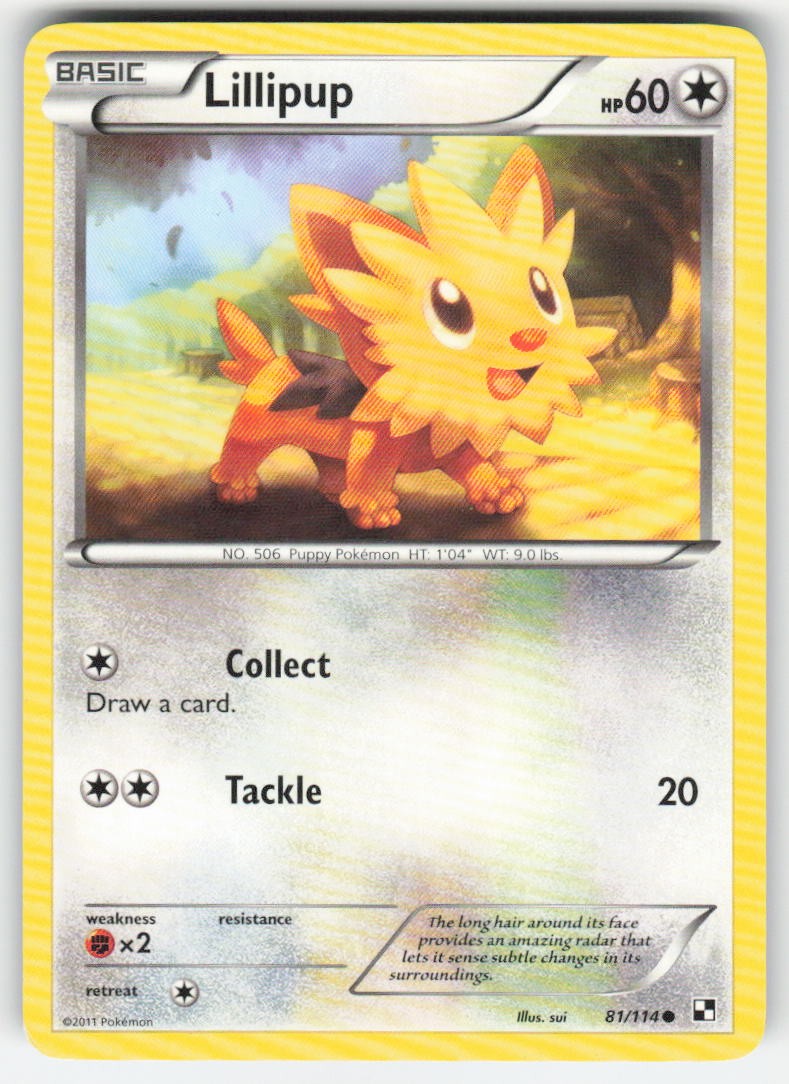 Pokemon TCG Black and White Lillipup #81/114